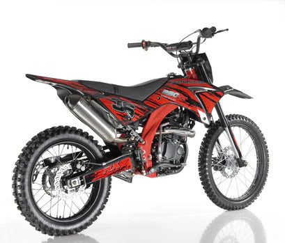 Apollo 250 DB-36 Offroad Adult Dirt Bike - Image 4