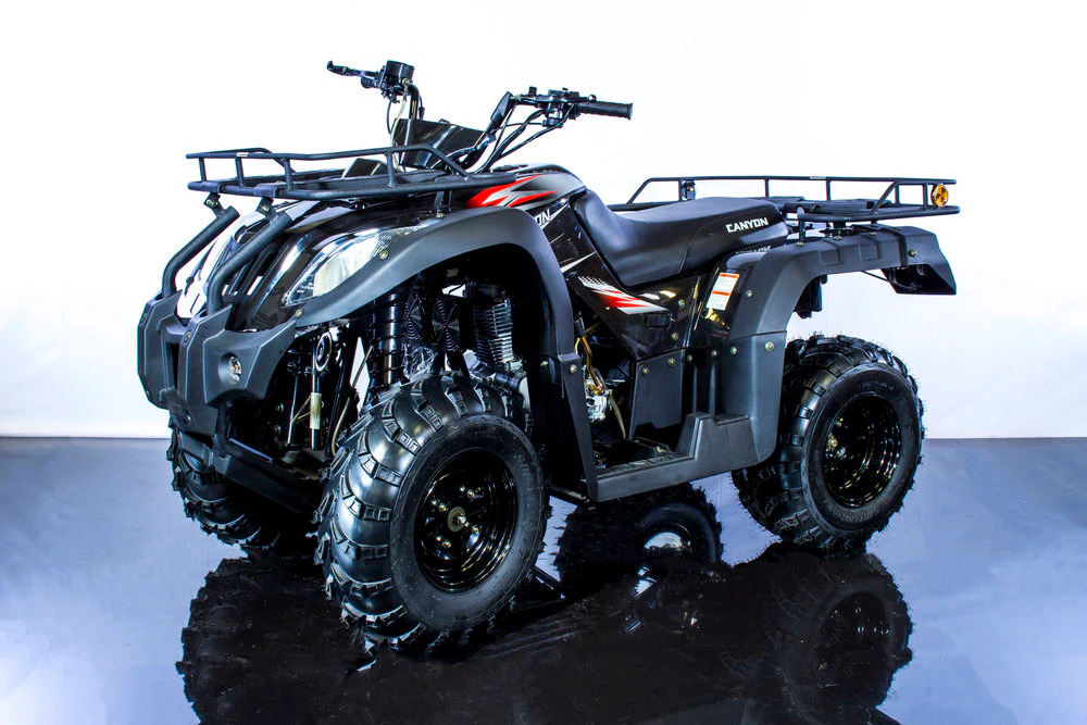 Canyon 250 Adult ATV - Image 3