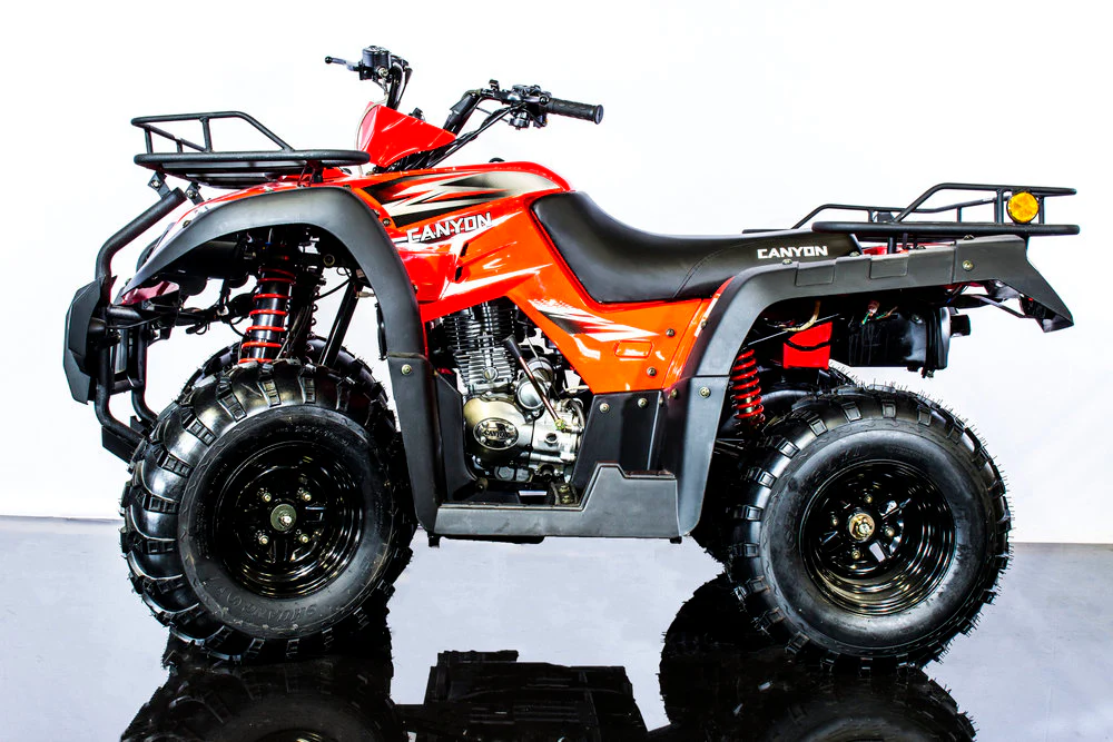 Canyon 250 Adult ATV - Image 4