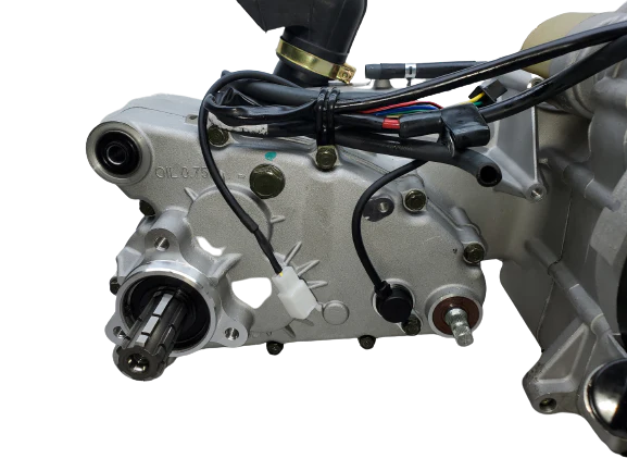 BMS Avenger 150 GY6 Engine with Internal Reverse 150cc, 175cc, 232cc - Image 11