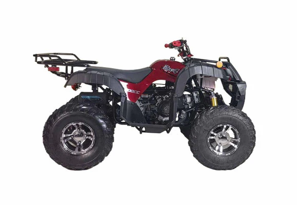 Cougar 200 Utility Adult Fourwheeler ATV - Image 3