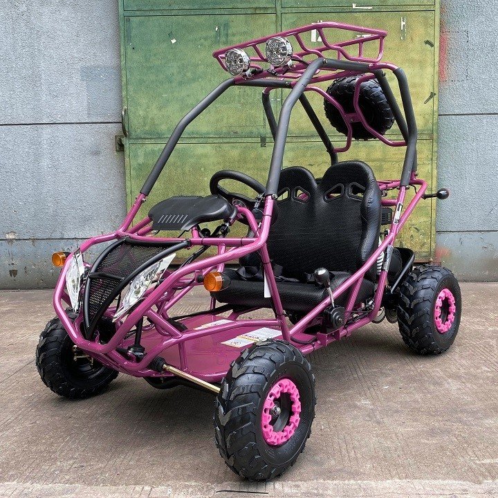 Dongfang DF200GVA Falcon Jr. Children's Go-Kart Buggy, 4-Stroke 196cc - Image 2
