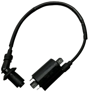 Fangpower 250 Ignition Coil