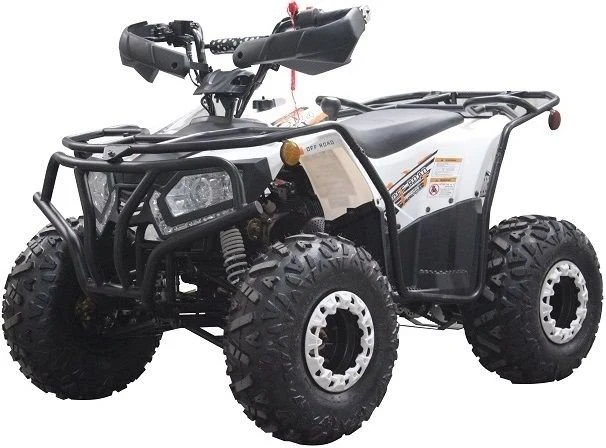 Dongfang Grizzly 200 ATS Youth ATV - Image 3