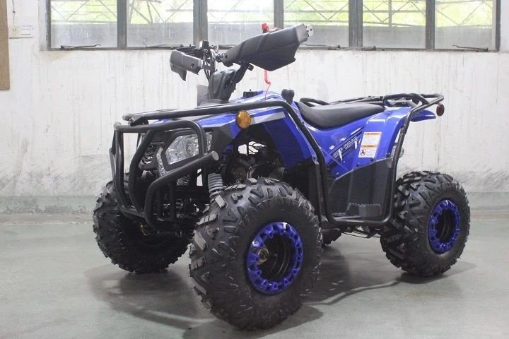 Dongfang Grizzly 200 ATS Youth ATV - Image 4