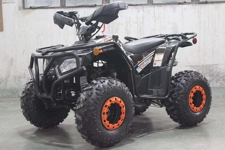 Dongfang Grizzly 200 ATS Youth ATV - Image 6