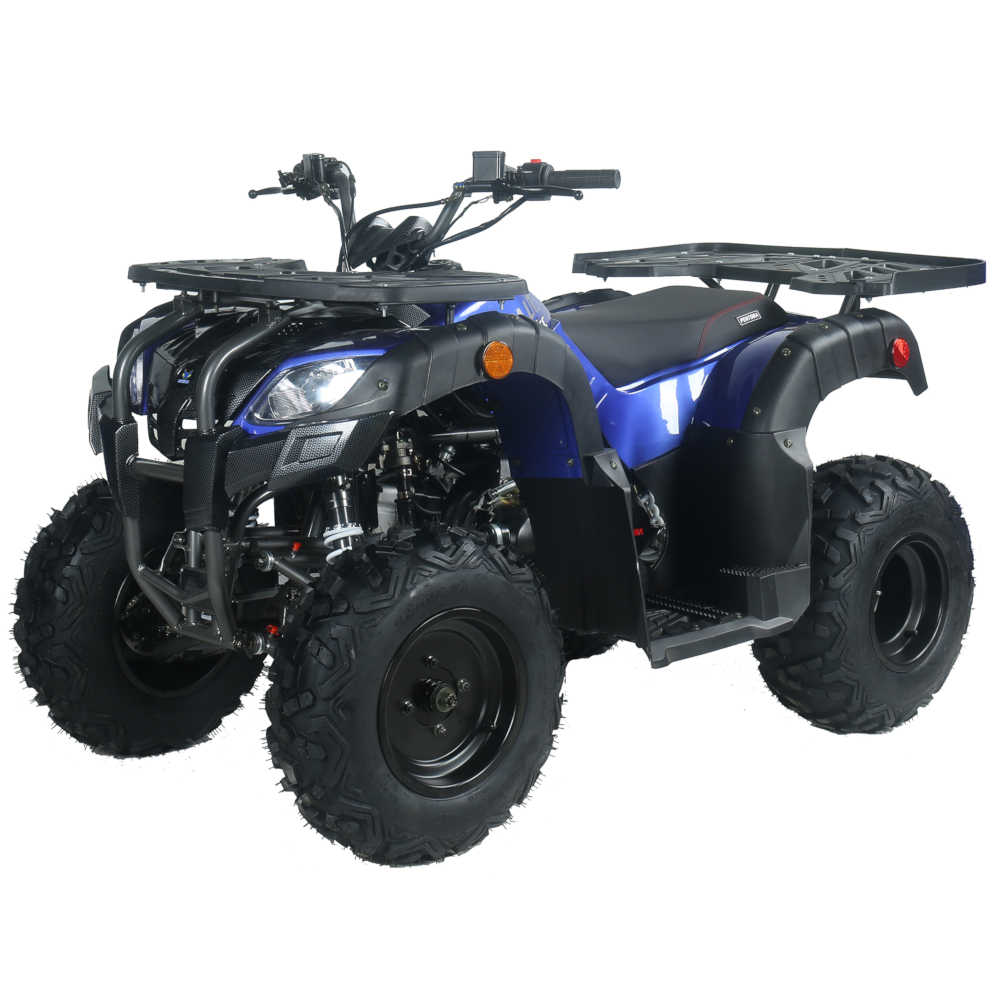 Pentora 250 Utility Adult ATV - Image 2