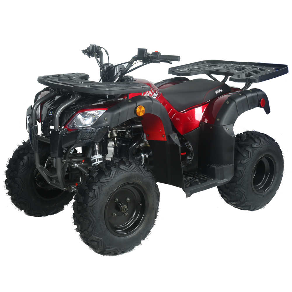 Pentora 250 Utility Adult ATV - Image 3