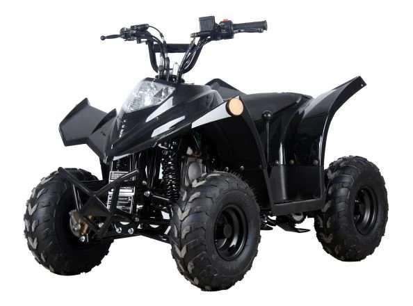 RACER 110 Children's ATV-6", 4-Stroke 110cc - Image 2