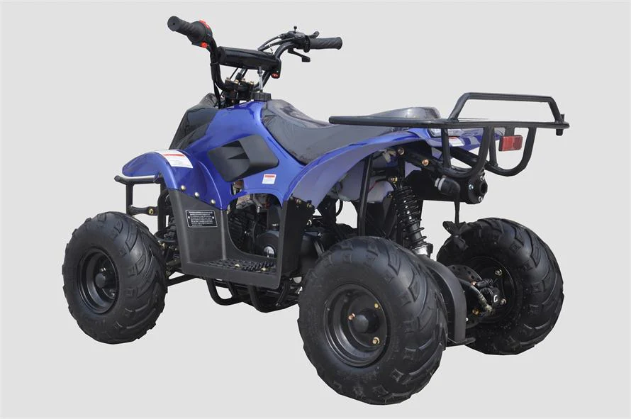 Rexhawk 110 Children's ATV, 4-Stroke 110cc - Image 3