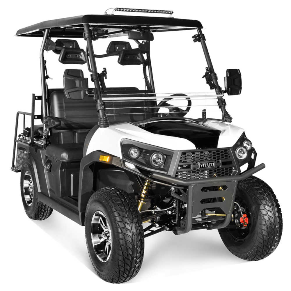 Rover 300EFI Golf Cart - Image 5