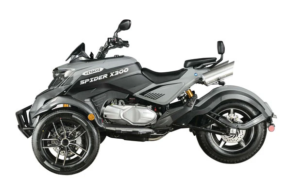 Spider X300 Trike - Image 5