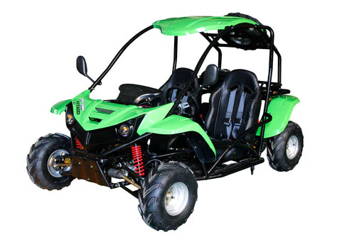 T-Rex 125 Children's Go-Kart Buggy, 125cc 4 Stroke - Image 4
