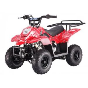 Tao Tao B110 Children's ATV, 4-Stroke 110cc - Image 2