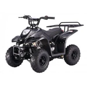 Tao Tao B110 Children's ATV, 4-Stroke 110cc - Image 4