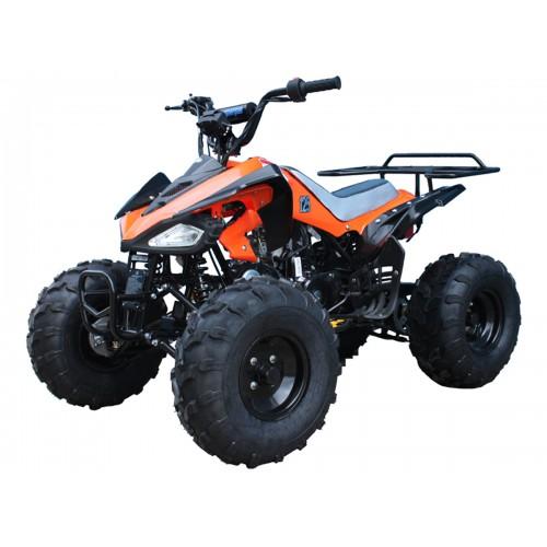 Tao Tao G125 Children's ATV, 4-Stroke 125cc - Image 3