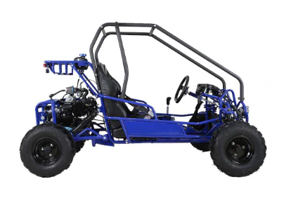 Tao Tao GK110 Children's Go-Kart Buggy, 110cc 4 Stroke - Image 2