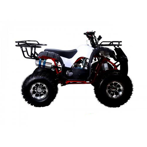 Tao Tao New T-Force 125 Children's ATV, 4-Stroke 125cc - Image 2