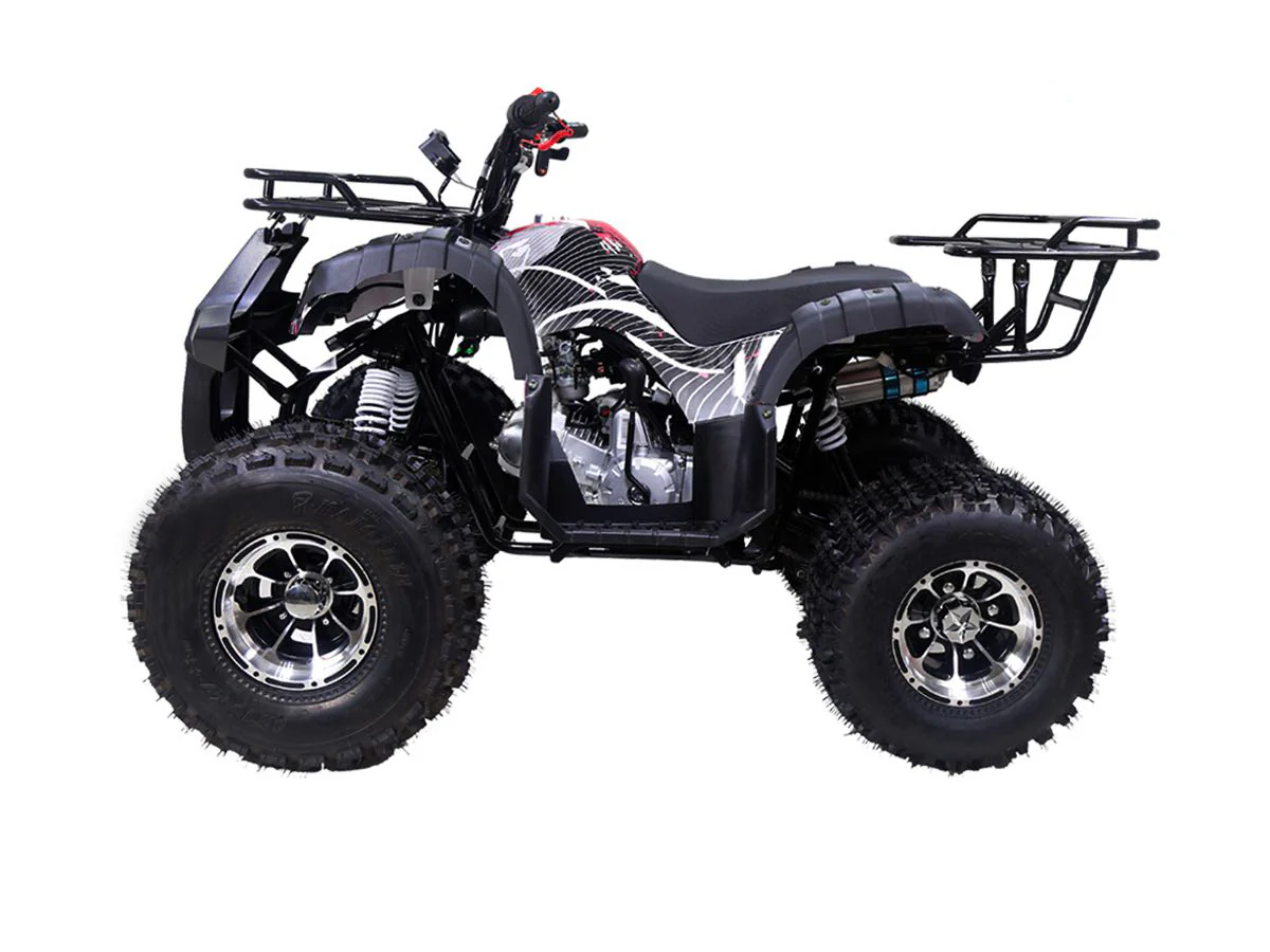 Tao Tao New T-Force 125 Children's ATV, 4-Stroke 125cc - Image 3