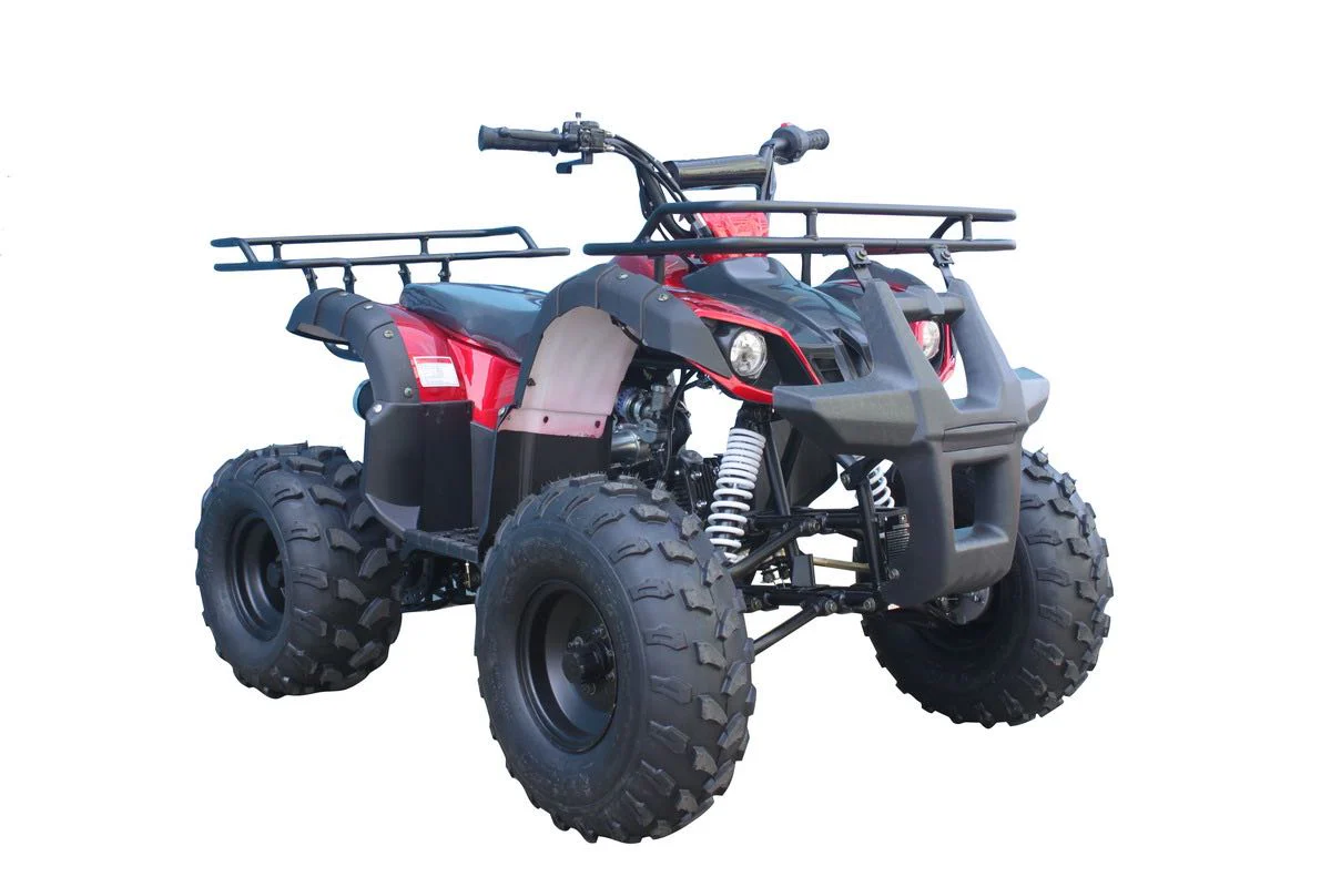 Tao Tao T-Force 125 Children's ATV, 4-Stroke 125cc - Image 2