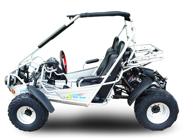 Trailmaster 300cc XRX, XRS Go-Kart Buggy Engine - Image 10