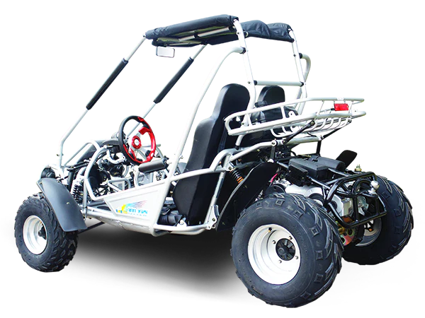Trailmaster 300cc XRX, XRS Go-Kart Buggy Engine - Image 11
