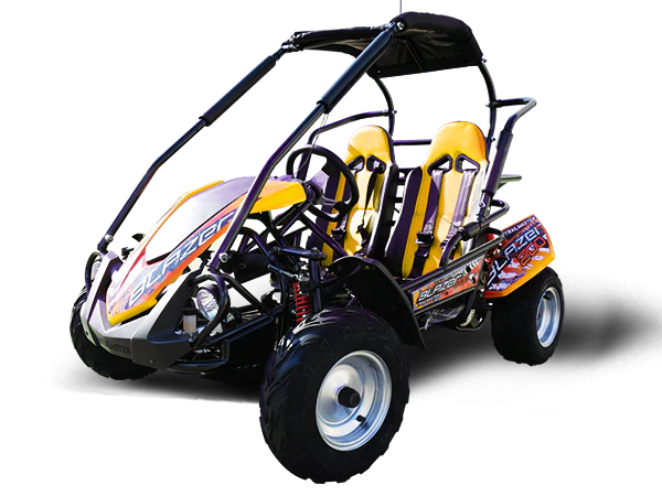 Trailmaster Blazer 200R Youth Go-Kart Buggy