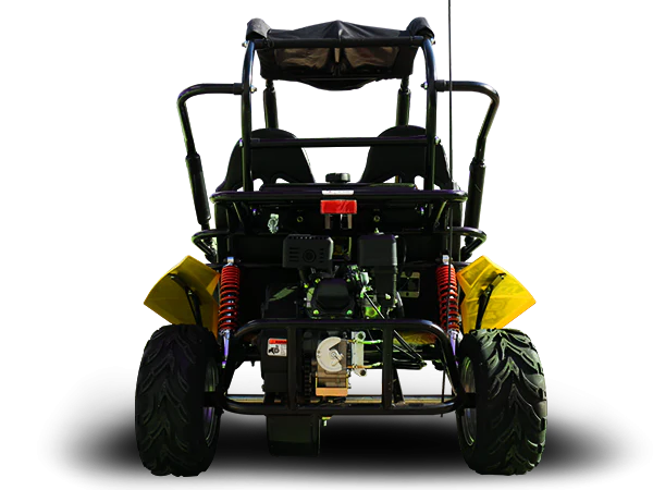 Trailmaster Blazer 200R Youth Go-Kart Buggy - Image 3
