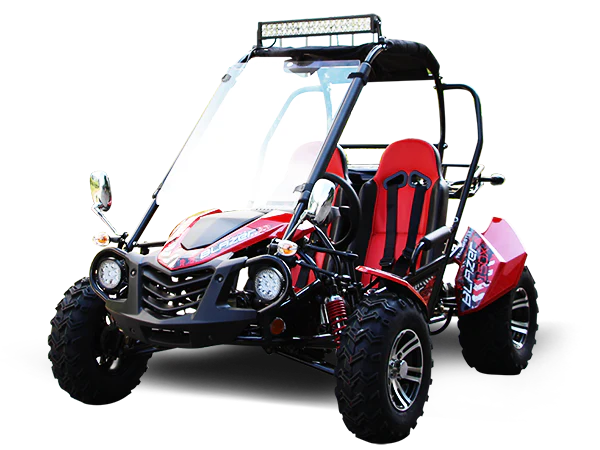 Trailmaster Blazer 200X Adult Go-Kart Buggy - Image 6