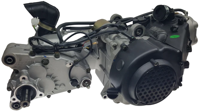 Trailmaster Blazer Go-Kart GY6 Engine, 150XRX, 150XRS, 150TBM 150cc, 175cc, 232cc - Image 2