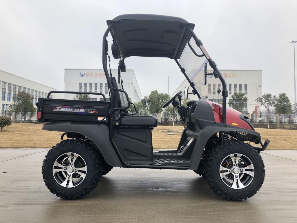 TrailMaster Taurus 200U EFI UTV - Image 2