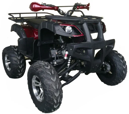 Warrior 200 Adult Quad ATV - Image 3