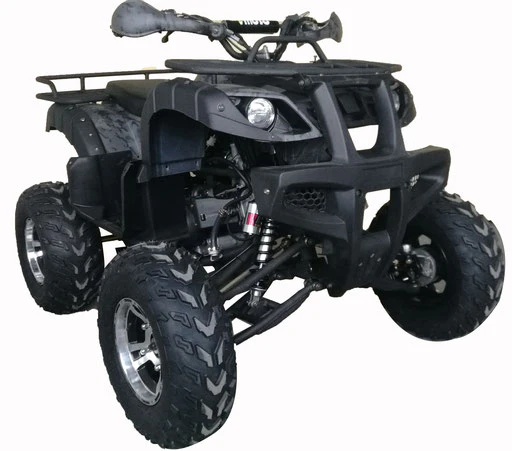Warrior 200 Adult Quad ATV - Image 4